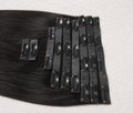 Premium Raw Clip ins